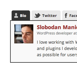 Fanciest Author Box | The Only Author Box Plugin You'll Ever Need